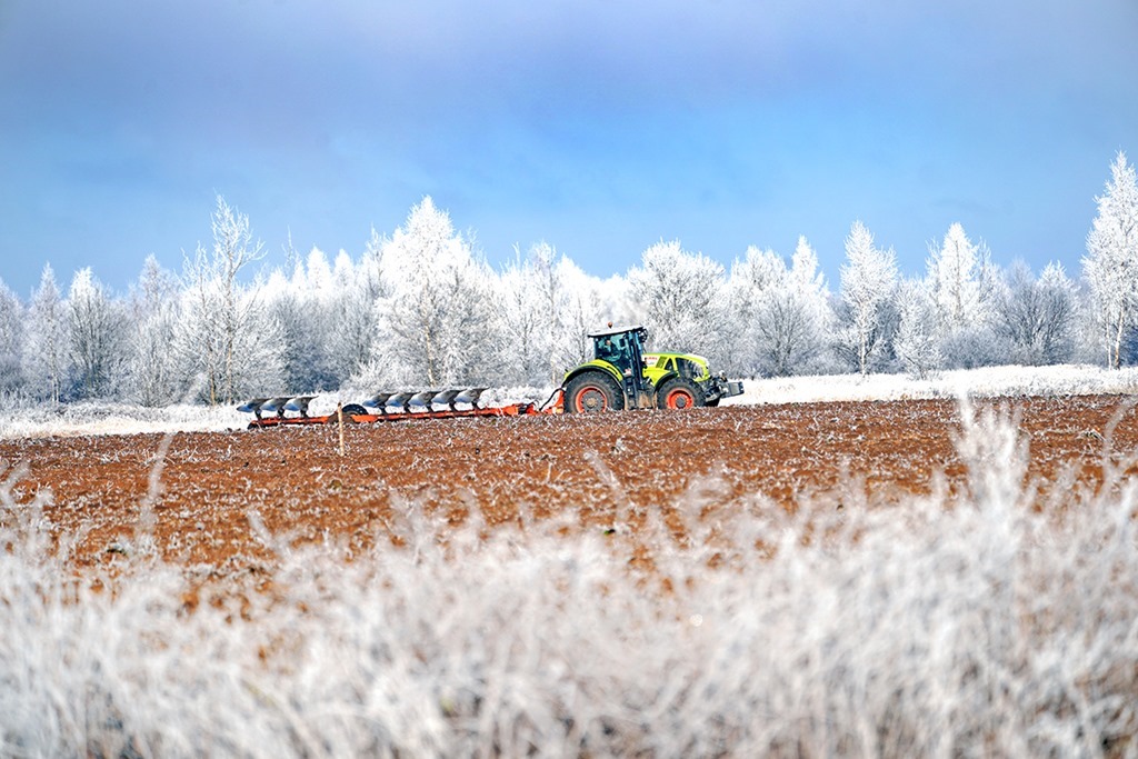 Аграрии Калининградской области собрали 706 тысяч тонн зерна