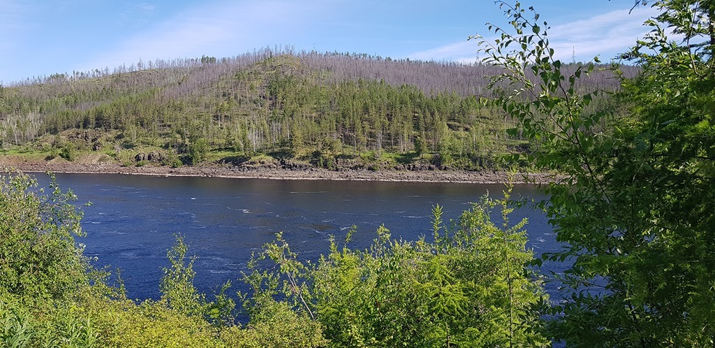 Экологи АО «РНГ» выпустит в реки Якутии более 1 млн мальков пеляди