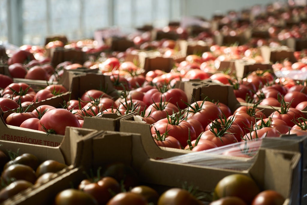 В Калининградской области проверили почти 9 тысяч тонн ввозимой продукции