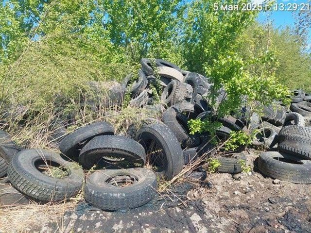 Выявлены грубые нарушения при обращении с отходами в Калининграде