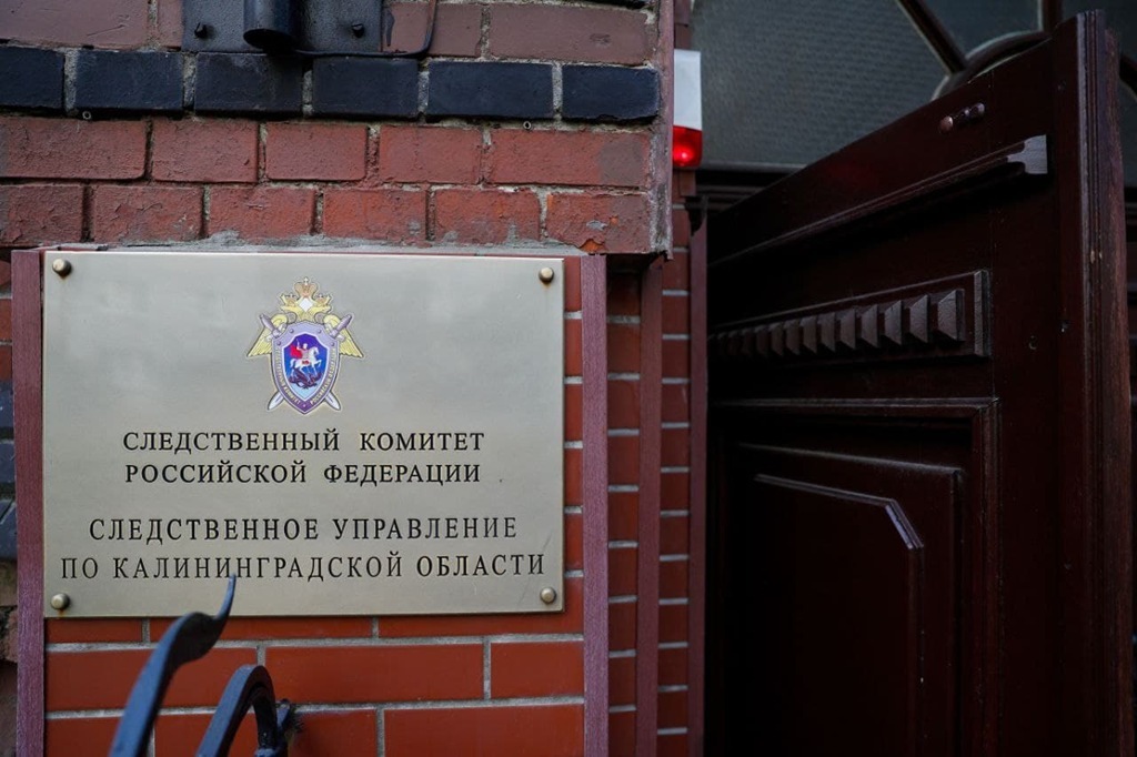 Налоговая махинация на 265 млн рублей дошла до суда
