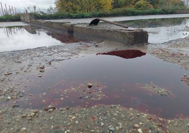 В Калининградской области проверяют незаконные свалки на сельхозземлях В Калининградской области проверяют незаконные свалки на сельхозземлях