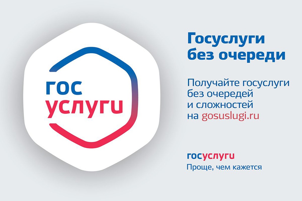 Калининградцы в 2025 году массово записывали детей в кружки через &laquo;Госуслуги&raquo;